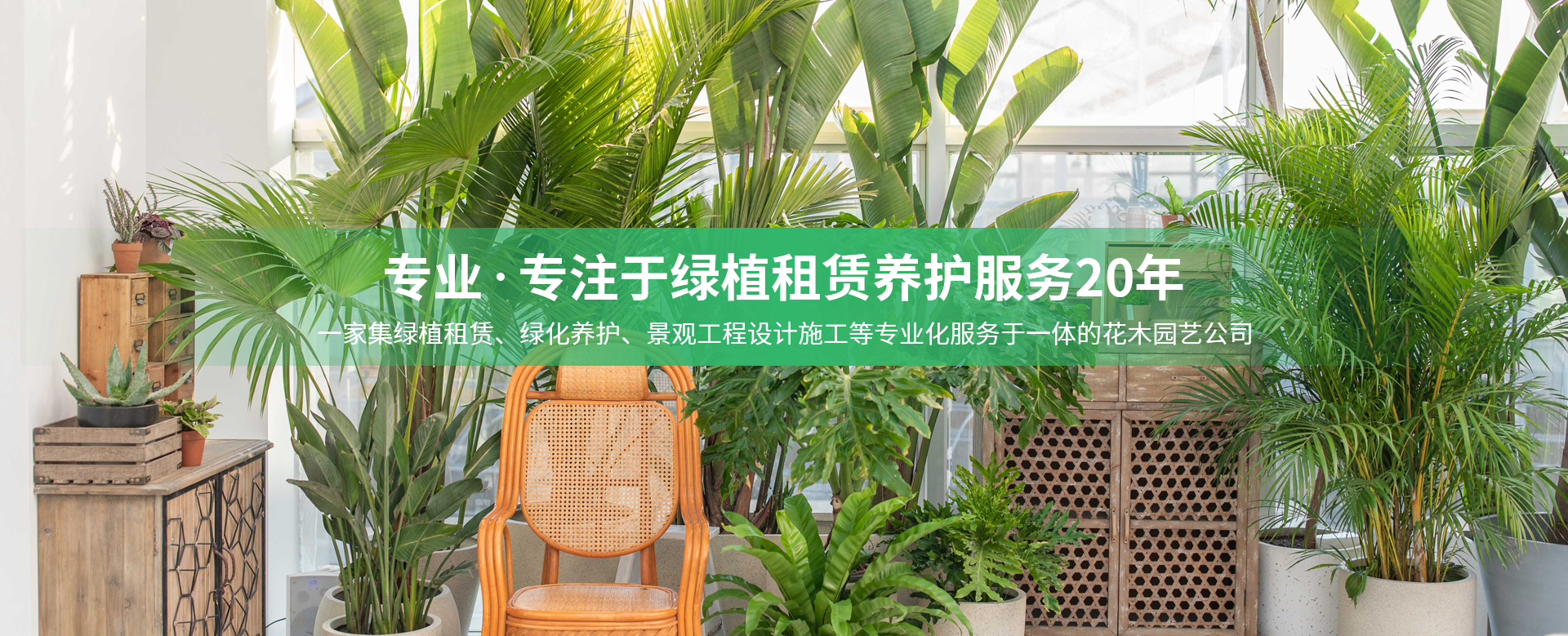 常州润和花木有限公司